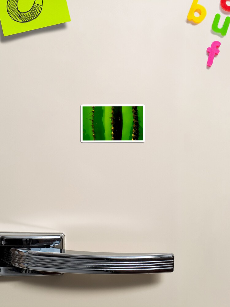Magnet - 02.jpg