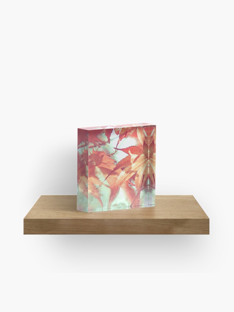 Acrylblock - 02.jpg