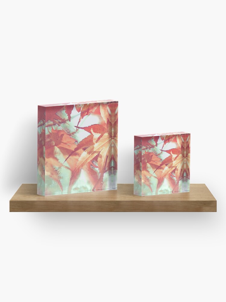 Acrylblock - 04.jpg