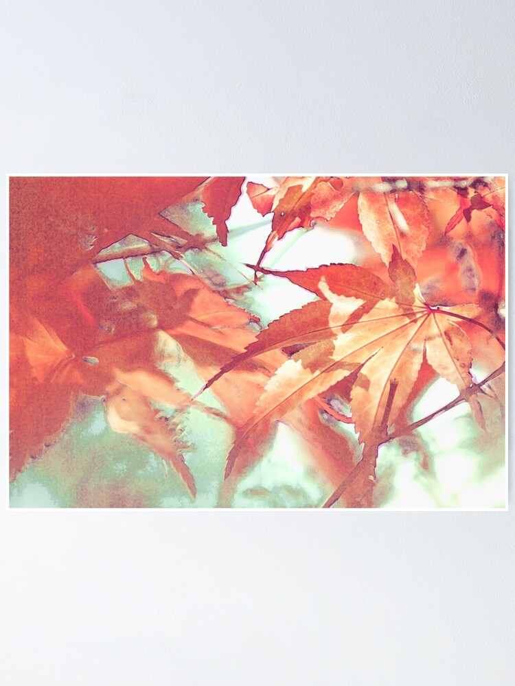 Poster - 02.jpg